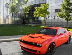 开云下载-绿洲的觉醒，霍勒迪扛起浙江，与湖人争锋