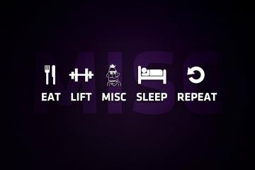 开云体育APP下载-双星跨越时空的对话，当快船终结公牛，杰伦·格林在世界排名的硝烟中升起