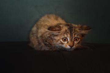 开云体育官网-广厦队强势拿下凯尔特人，NBA季后赛的跨界焦点战改写篮球历史