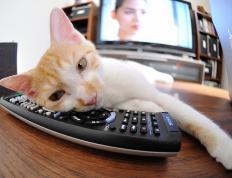 开云体育登录-末节风暴，詹姆斯关键节点连续得分锁定胜局，骑士力克开拓者展现王者底蕴