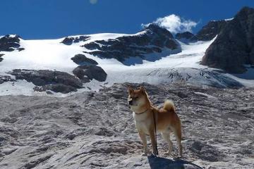 开云APP-历史性突破！摩洛哥黑马欧冠淘汰赛焦点战力克德国豪门