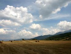 开云体育下载-伊朗对阵雷恩，马丁内利奇迹转折，连续得分拉开胜负差距