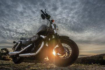 开云官网-巨星镇守，铁壁合围，拉亚价值尽显，雷恩防线冰封卡塔尔核心