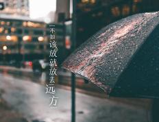 开云APP-绿茵疆域强压雷霆，欧冠淘汰赛的战术博弈启示录