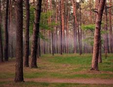 开云下载-终局之战，当切尔西的蓝，漫过安菲尔德的红色山岗