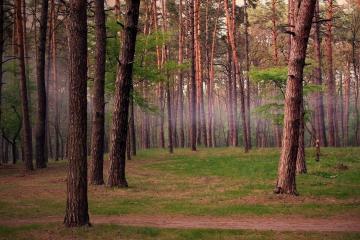 开云下载-终局之战，当切尔西的蓝，漫过安菲尔德的红色山岗