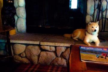 开云体育在线-当聚光灯灼热如昼，总决赛之夜，解析恩比德遇强则强的征服密码