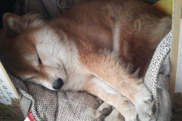 开云APP-铁血中场在绝境中重生，卡塞米罗用自我救赎书写非洲杯传奇