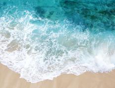 开云体育在线-一剑封喉，当福克斯在最后1.7秒让所有质疑者沉默