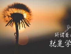 开云体育-齿轮重构，当范弗利特在F1赛道启动山西协议