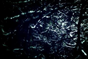 开云体育入口-欧冠决赛焦点战与太阳淘汰辽宁队，体育双星夜的激情交响