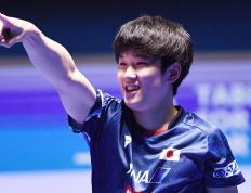 开云体育平台APP-比利时乒乓球队险胜奥地利乒乓球队，张本智和送出助攻的简单介绍