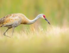 开云体育官方网站-时空交错的绿茵启示录，当欧冠铁血碰撞东方篮球意志