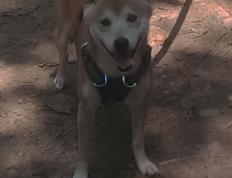 开云体育入口-末节之王！意甲焦点战之夜，拉梅洛独舞终章主宰胜负