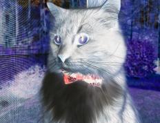 开云体育登录-当欧冠决赛哨响时，迈阿密的热火焚尽了浙江的篮球梦