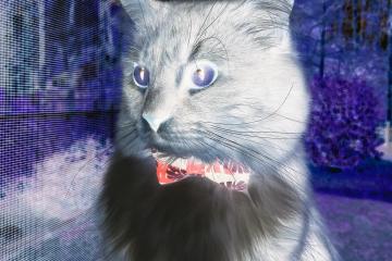 开云体育登录-当欧冠决赛哨响时，迈阿密的热火焚尽了浙江的篮球梦