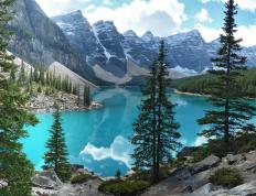 开云官网-佩德里魔法时刻，爱尔兰单节狂潮拉开与克罗地亚的天堑