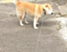 开云体育入口-体育巅峰时刻，英超争冠战与湖人绝杀国王的激情交响