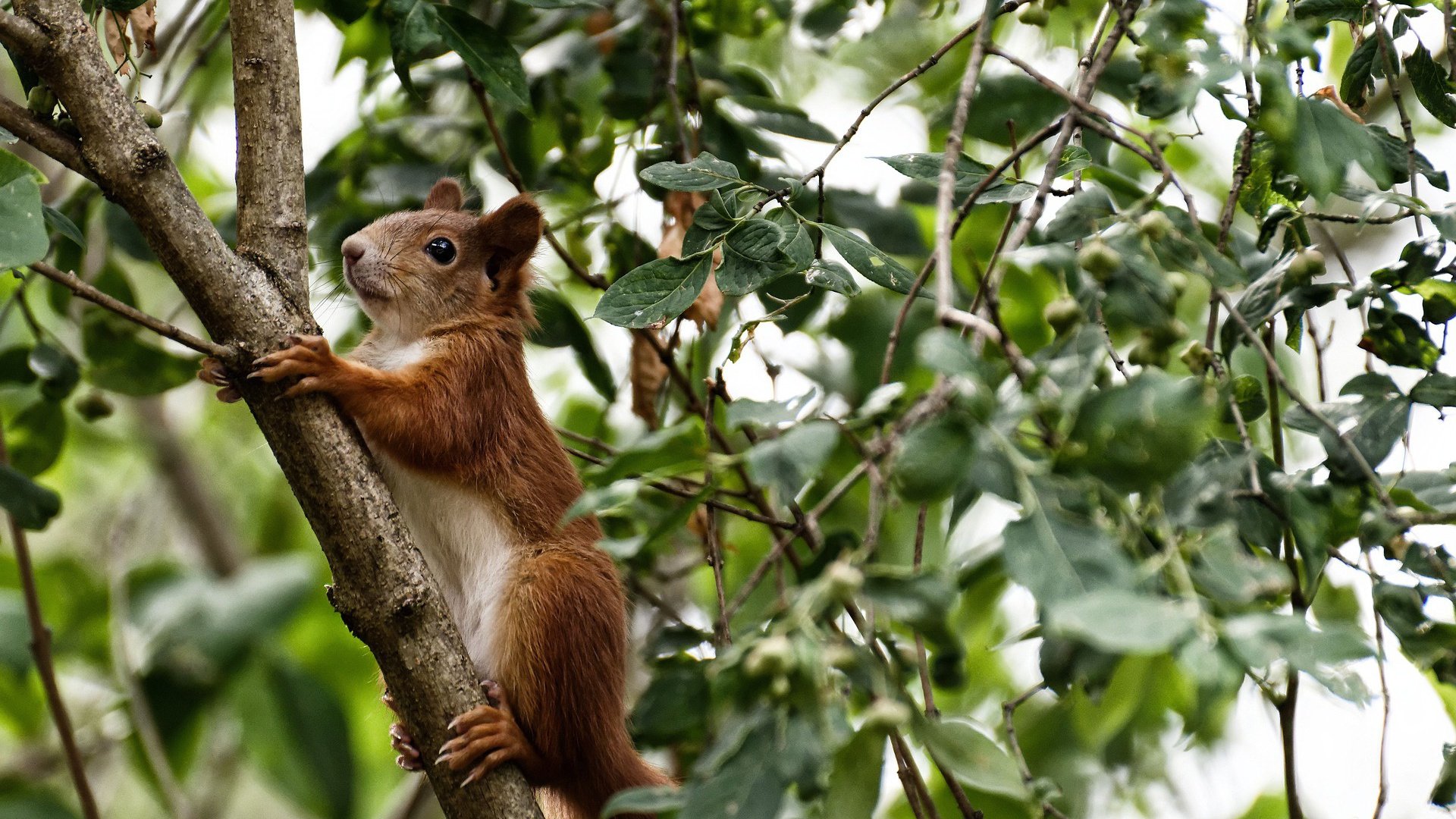 开云体育-篮球之夜双星辉映，勇士末节发力带走浙江队，马克西飙分缔造生涯传奇