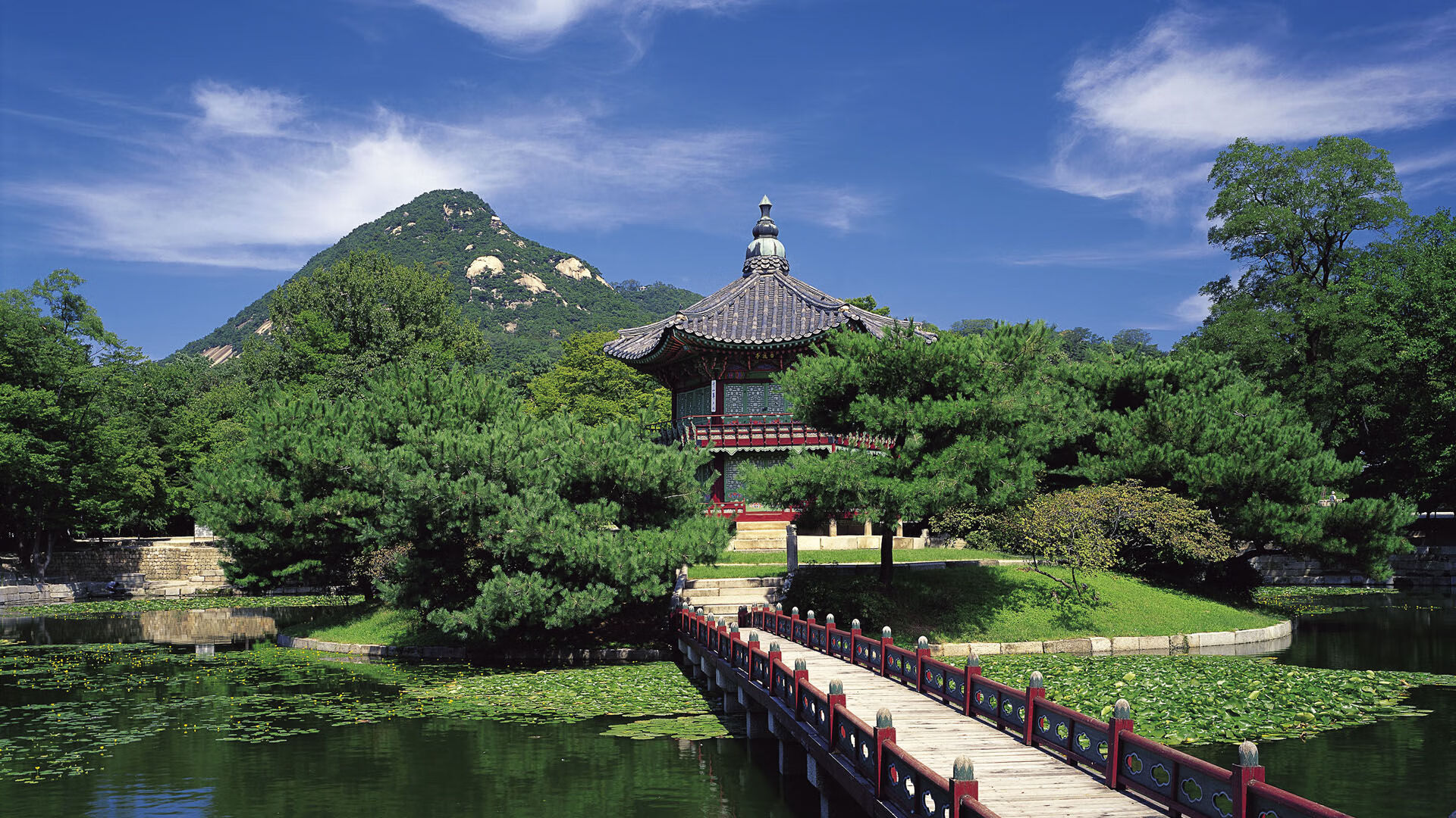 开云体育-孙兴慜爆发闪耀亚洲之光，巴西补时绝杀突尼斯展王者韧性