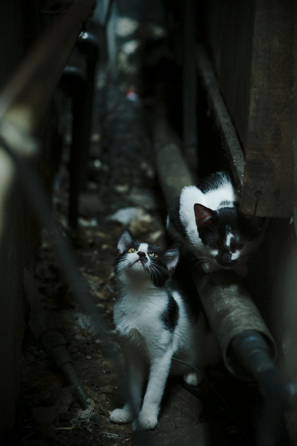 开云体育入口-淬火之夜，奥运门槛前，乔治在嘘声中完成英雄叙事