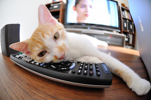 开云体育-跨越太平洋的篮球盛宴，广东队勇战灰熊，利拉德生涯之夜绽放东方