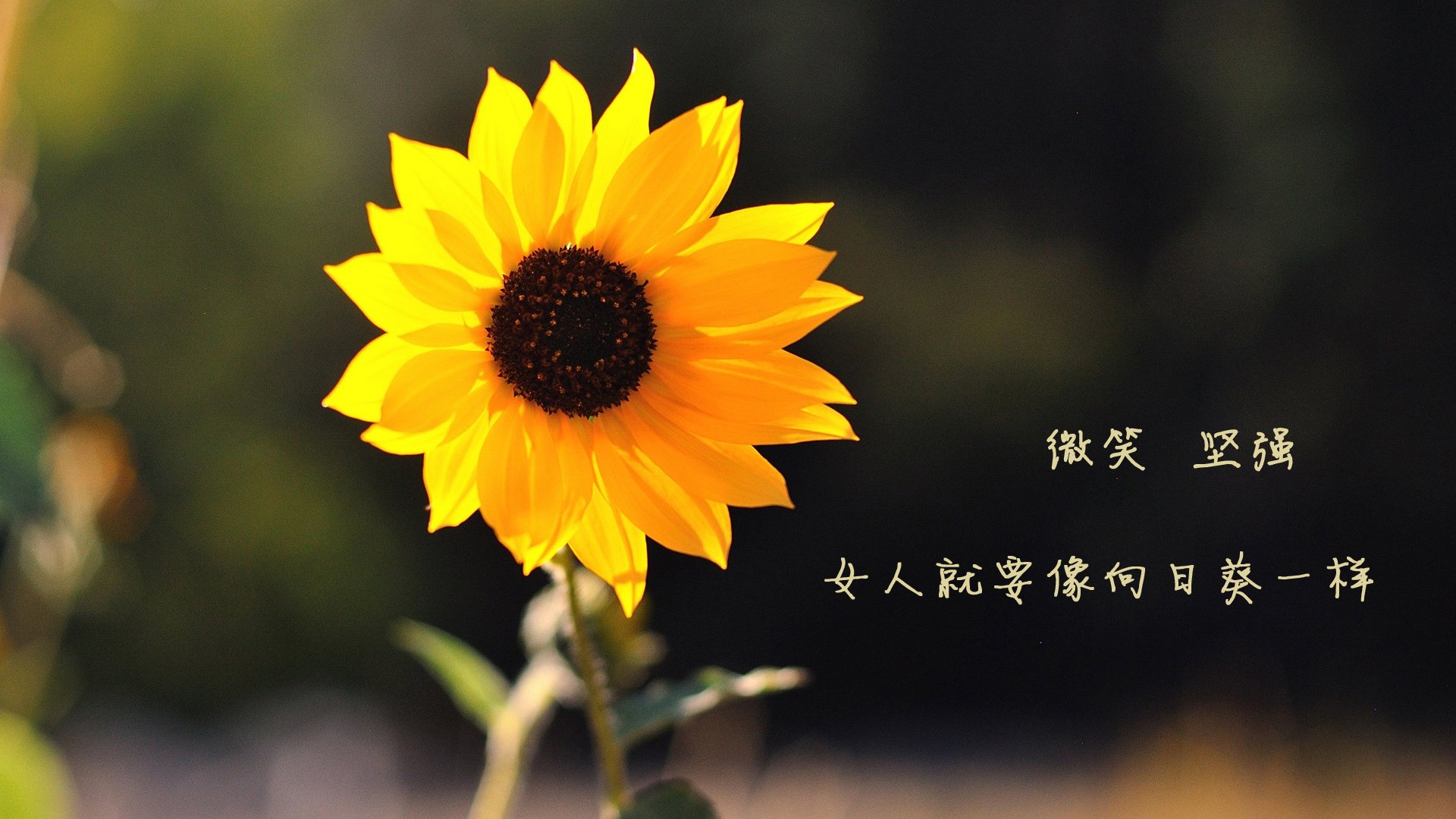 开云体育登录-欧冠之夜,巴黎圣日耳曼强行终结哥伦比亚黑马,莫德里奇关键先生闪耀