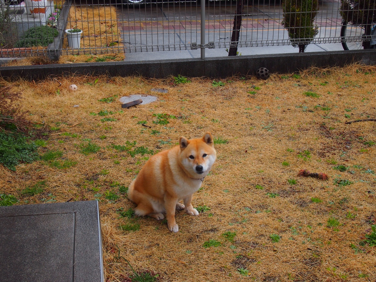 开云下载-跨界镜像，NBA季后赛之夜，内马尔在足球焦点战中证明自己