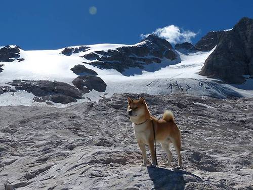 开云APP-历史性突破！摩洛哥黑马欧冠淘汰赛焦点战力克德国豪门