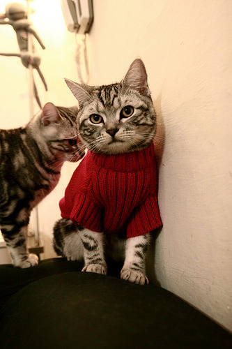 开云体育登录-跨界巅峰对决，吉林队挑战森林狼，东契奇独揽全场光芒