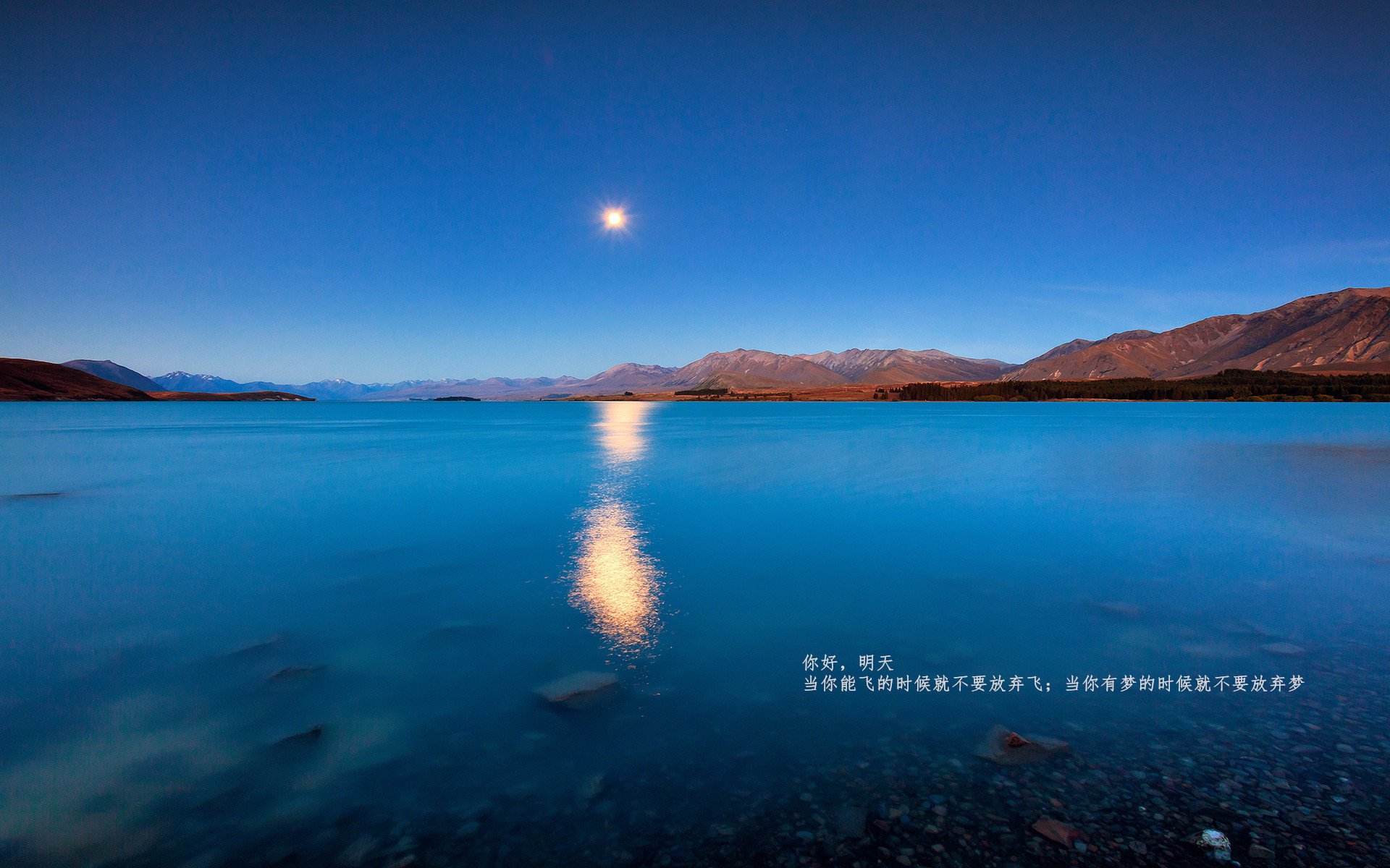 开云体育登录-奥运烽火夜,福登点江山