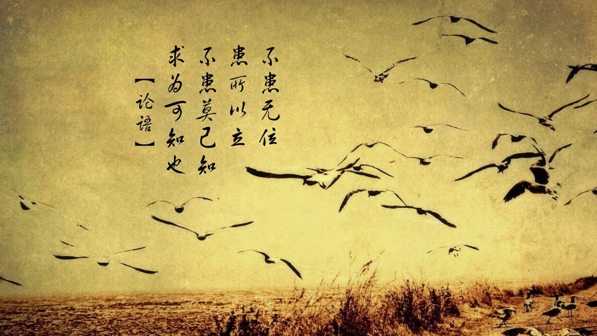 开云体育APP下载-压制级风暴眼，拉什福德独舞撕裂美国鏖战突尼斯的铁幕