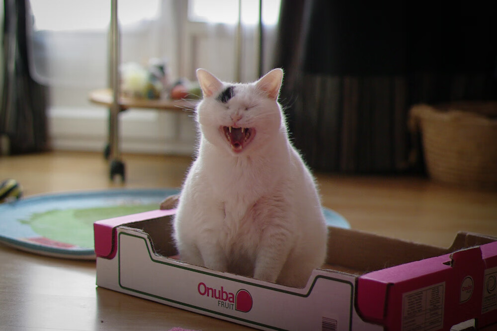 开云体育中国-西决生死战之夜，杰伦格林个人能力的完全绽放