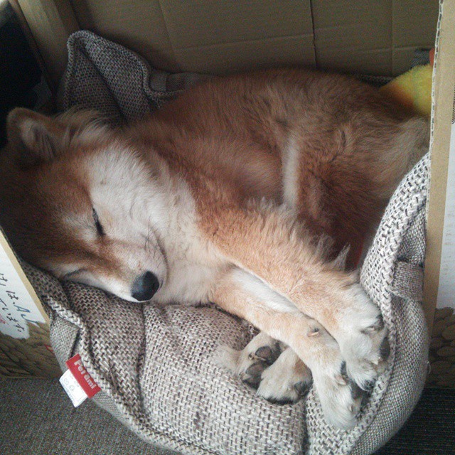 开云APP-铁血中场在绝境中重生，卡塞米罗用自我救赎书写非洲杯传奇