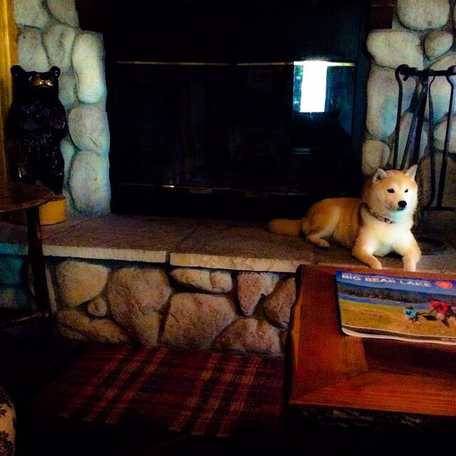 开云体育中国-哈利伯顿北京首秀轰45+15+8!最后2.1秒超远三分绝杀广东,五棵松万人陷入疯狂