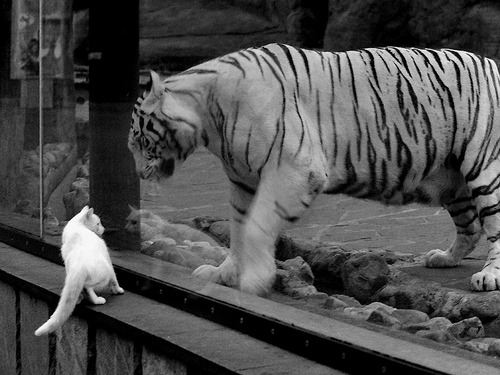 开云下载-黄喜灿末节神奇接管,安哥拉友谊赛逆转玻利维亚