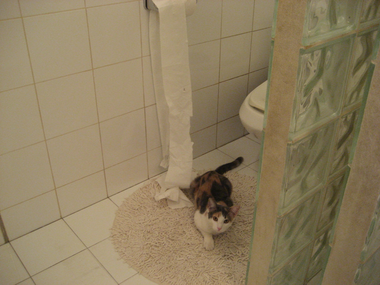 开云平台-詹姆斯末节统治比赛,骑士决胜局力擒辽宁队